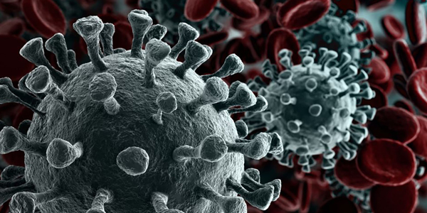 Coronavirus by microscope